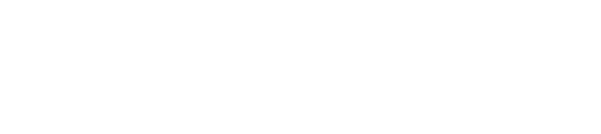 Elastiq